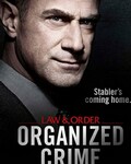 法律与秩序：组织犯罪第一季