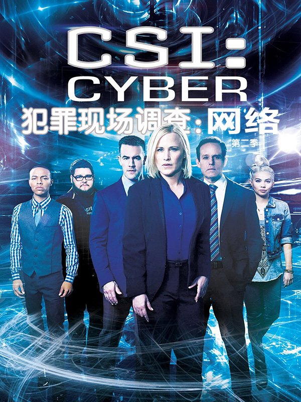 犯罪现场调查：网络第二季  CSI: Cyber Season 2